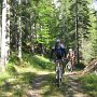 Forestale verso il Rif. Croda da Lago